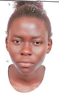 Giramia Javis